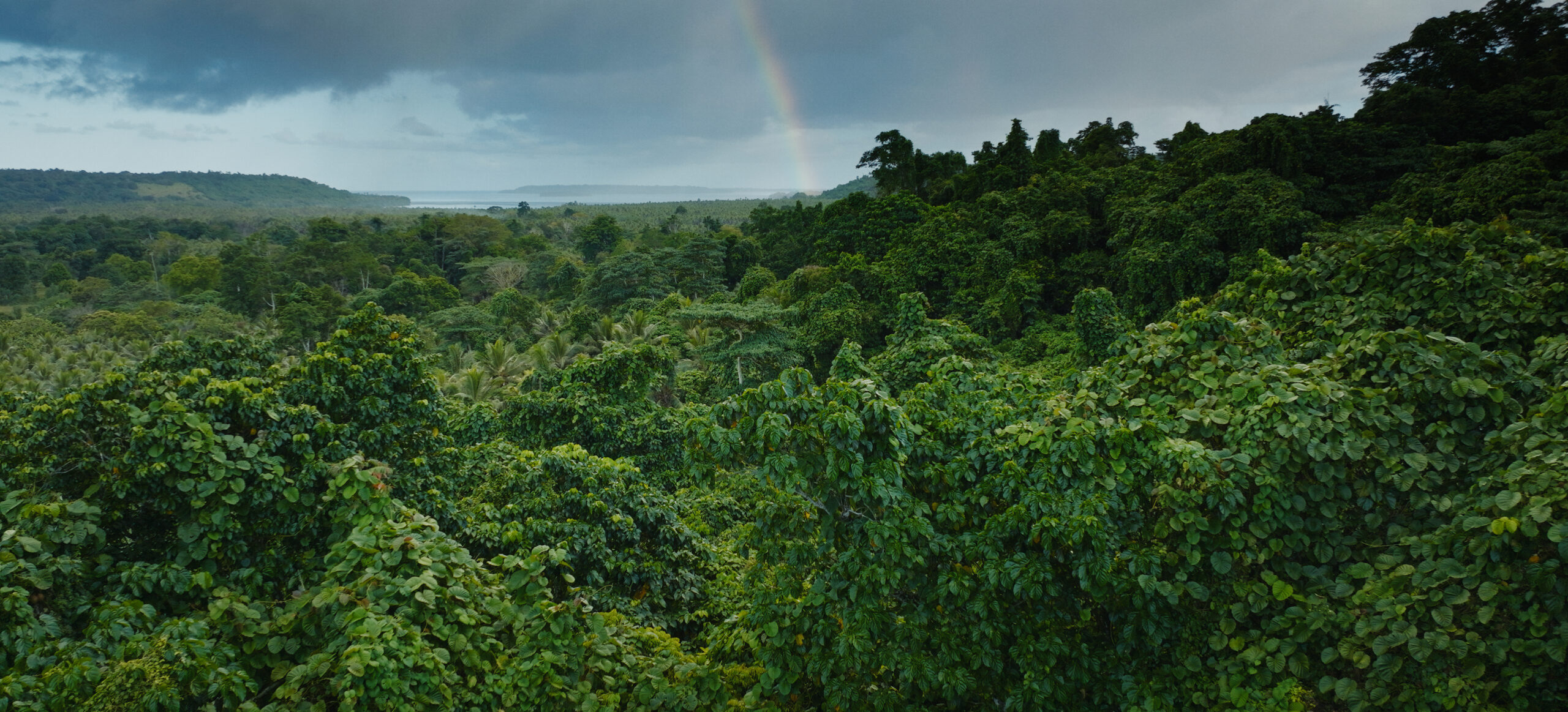 YUMI_Vanuatu-landscape-2